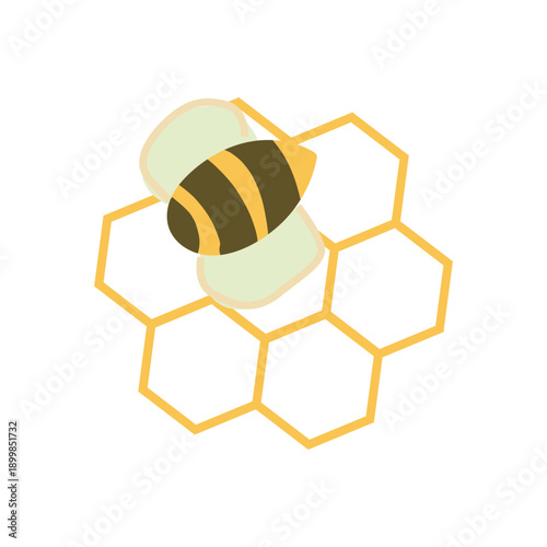 Honeybee with Honeycomb Cells in Soft Flat Vector Style Symbolizing Natural Beeswax and Sustainable Zero Waste Materials