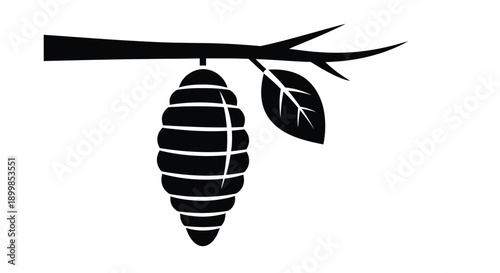A black silhouette of a pupa hanging from a branch with a leaf