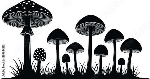 Detailed collection of wild mushroom silhouettes isolated on white background featuring forest fungi varieties with grass elements for nature botanical and organic graphic design.