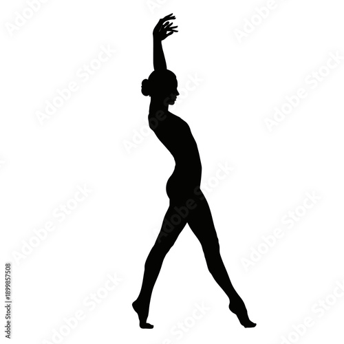 Elegant Silhouette of a Graceful Dancer Posing with Artistic Flair.