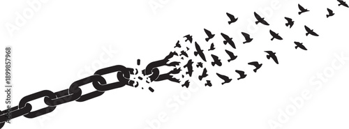 Breaking free chain birds flying freedom concept illustration