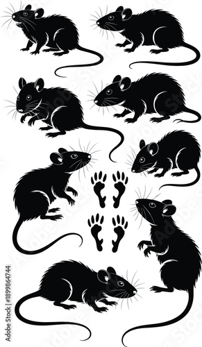Black rat silhouettes illustration set showing mice poses footprints and rodent behavior ideal for pest control concepts vintage tattoo designs and Halloween graphics