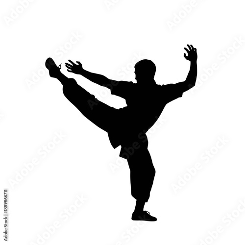Silhouette of a person practicing martial arts with a high kick.
