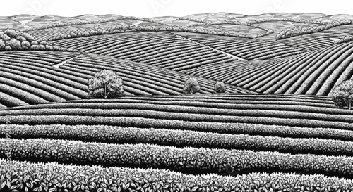 Porcelain design depicting a neatly arranged tea garden with dark grey colour