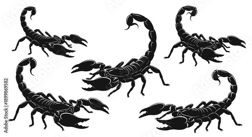 Vector silhouette illustrations of scorpions in various poses, including slithering, tail raised, defensive position, and resting.