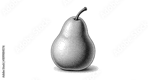 Classic black and white dotwork illustration of a single pear, showcasing light and shadow with a detailed stippling technique.