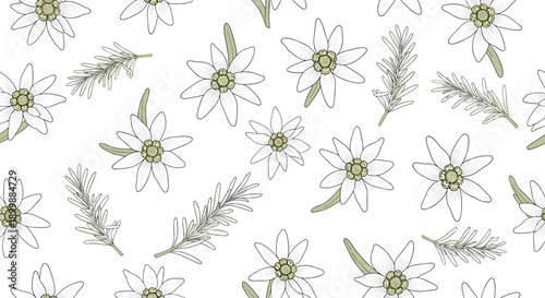 Elegant seamless floral pattern featuring scattered edelweiss flowers and rosemary sprigs on a clean white background for design.