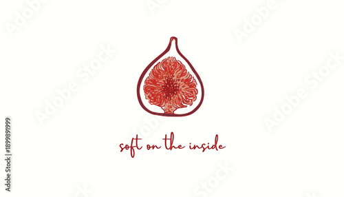 vector watermelon slice with soft on the inside text, illustration for banner or poster, isolated on transparent background, png