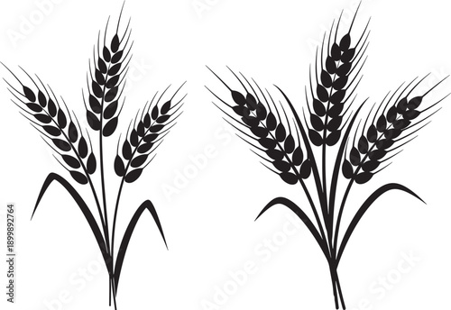 Black silhouette illustration of two stalks of wheat, symbolizing grain, harvest, and organic food, on white background.