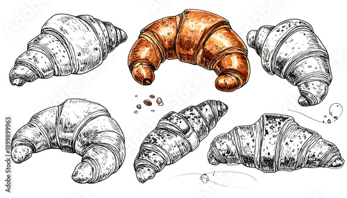 Detailed black and white illustration of four croissants arranged in a circular pattern, fine line work emphasizing texture and layers.