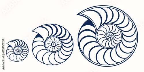 Illustration of the Fibonacci sequence displayed in a Nautilus shell, showcasing logarithmic spiral growth patterns in nature and mathematics