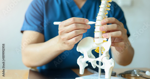 Obraz na płótnie close up specialist chiropractor man touch on back on spine anatomy and diagnose