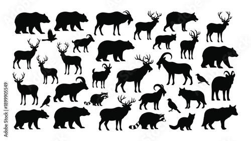 A diverse collection of black and white silhouettes of various animals in nature. Vector