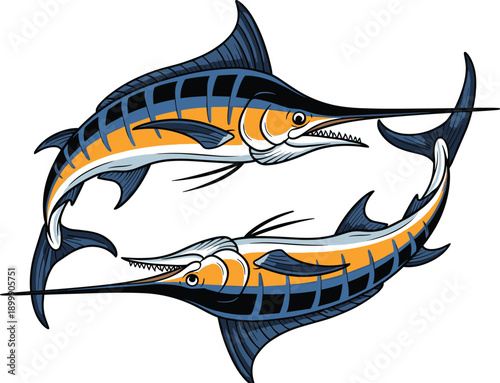 Colorful hand drawn illustration of two blue marlin fish, jumping swordfish with long bills, deep sea game fish isolated on white background.