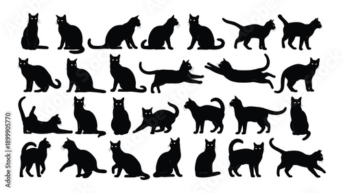 A diverse collection of black silhouettes of various cat breeds and poses Vector