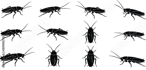 Flat vector silhouettes of cockroach insects in various views, black pest icons for entomology, infestation, extermination, biology, research design