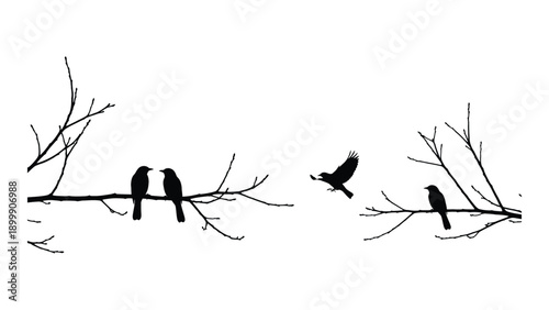Silhouette of birds perched on branches and flying in the air Vector