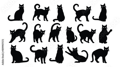 A collection of various black cat silhouettes in different poses and positions Vector