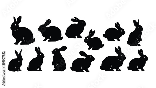 Silhouettes of various rabbits in different poses and positions Vector