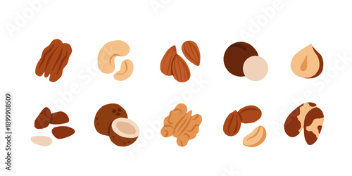Collection of different nuts. Peanut, walnut, hazelnut, pistachio, almond and cashew. Concept of healthy food. Products for snack. Vector flat illustration.