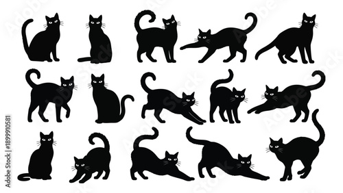 A collection of black cats in various poses and positions on a white background Vector