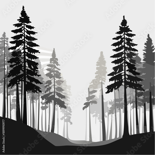 Sunlight filtering through towering redwood trees in a lush forest during early morning hours