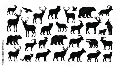 A diverse collection of various animal silhouettes in black and white Vector