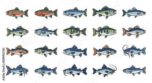 Collection of Various Fish Species Illustrations.