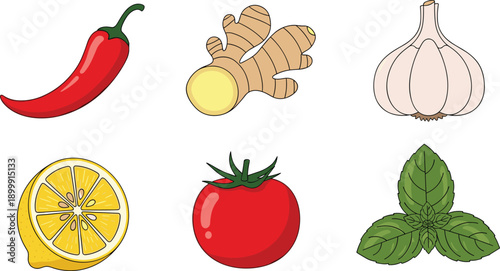 Fresh vegetables and herbs vector set with chili ginger garlic lemon tomato and basil isolated illustration