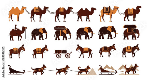 Various Animals in Harness for Transportation.