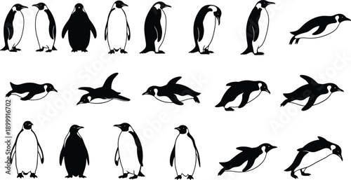 penguin penguins bird birds animal animals wildlife antarctic arctic nature ocean sea silhouette illustration collection set