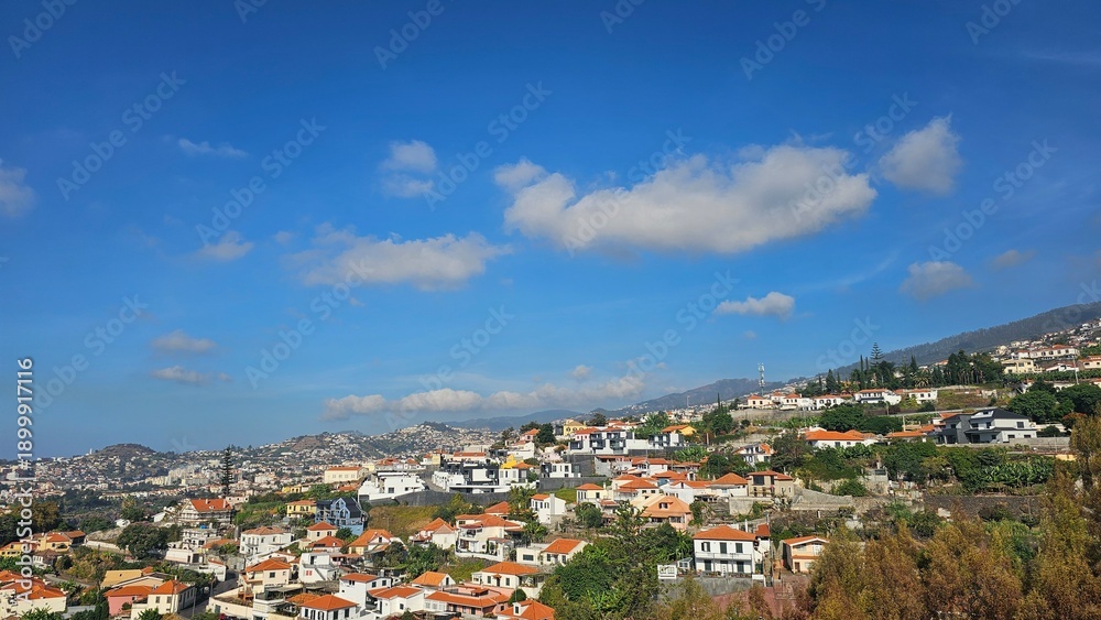 Fototapeta premium Bright daytime view of hillside residential neighborhoods in Madeira, Portugal, with white houses, red tile roofs, lush greenery, and a wide blue sky with scattered clouds.