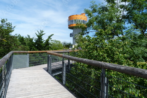 Fotografie Aussichtsturm Baumkronenpfad Hainich