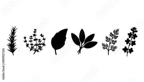 Minimalist Herb Silhouettes