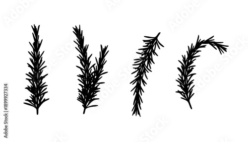 Rosemary Branch Silhouette