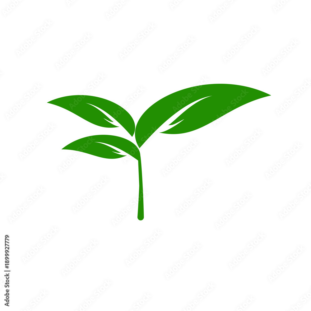 Fototapeta premium Green Leaf Organic Logo Design Vector Template Green Leaf icon set design elements.
