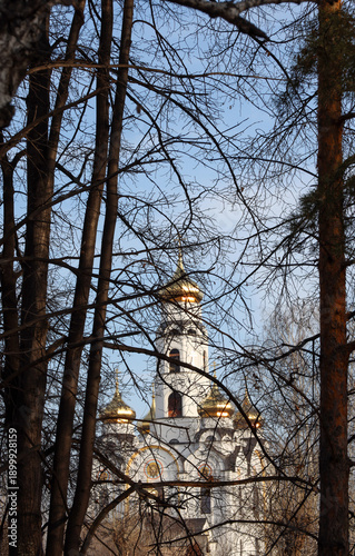 Wallpaper Mural Plast, Russia - November 15, 2025: A view of the Church of the Holy Great Martyr Barbara through tree branches Torontodigital.ca