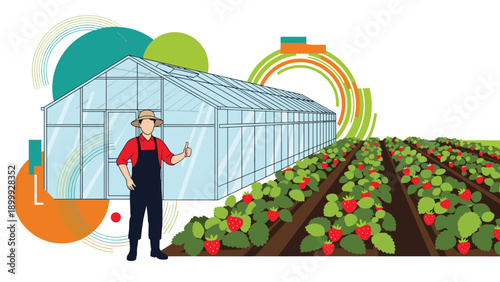 Male farmer in overalls giving a thumbs up sign while standing in front of a modern glass greenhouse and strawberry field rows.
