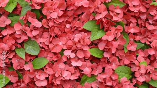 Vibrant floral arrangement nature park close-up photography outdoor eye-level beauty of blooms