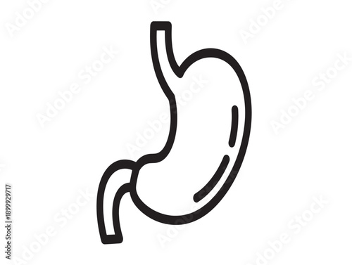 Minimalist stomach illustration for medical education