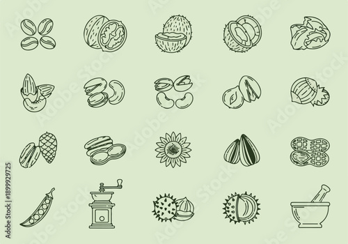 Nuts Seeds Food Icons Set Vector Illustration