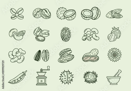 Nuts Seeds Food Icons Set Vector Illustration