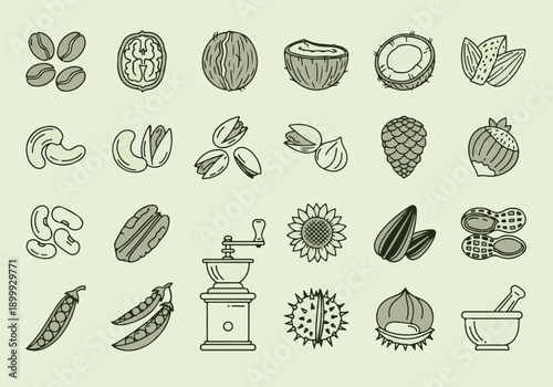 Nuts Seeds Food Icons Set Vector Illustration