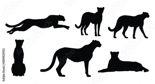 Black cheetah silhouettes showing various poses and natural movements