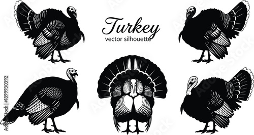 Turkey silhouette vector set with detailed engraved style poses isolated on white background for farm wildlife design projects and branding