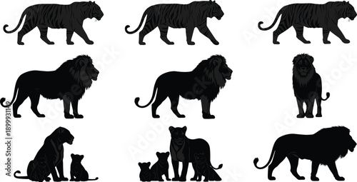 Big cat silhouette and illustration set featuring lions tigers and cub families isolated on white background for design projects