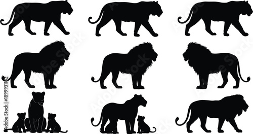 Big cat silhouette set featuring lions and cub families wildlife vector illustrations isolated on white background for design projects and branding use