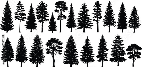 Black pine and fir tree silhouette icon set showing various forest conifer shapes, isolated on white background, vector illustration