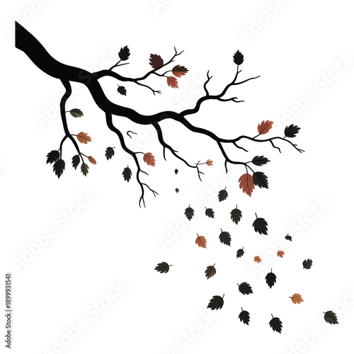 Silhouette of dark tree branch with sparse autumn leaves falling down suggesting seasonal change and gentle wind motion on transparent background