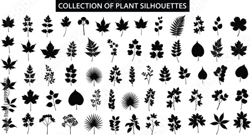 Black plant and leaf silhouette icon set with diverse botanical foliage collection, isolated on white background, vector illustration